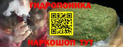 спиды Можга